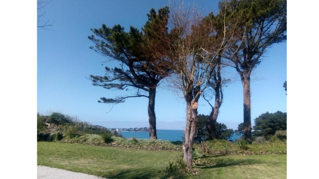 Les Hortensias Grande Tente Familiale Deux Chambres Et Sejour Vue Mer Sur Camping Nature Plestin-les-Grèves Buitenkant foto